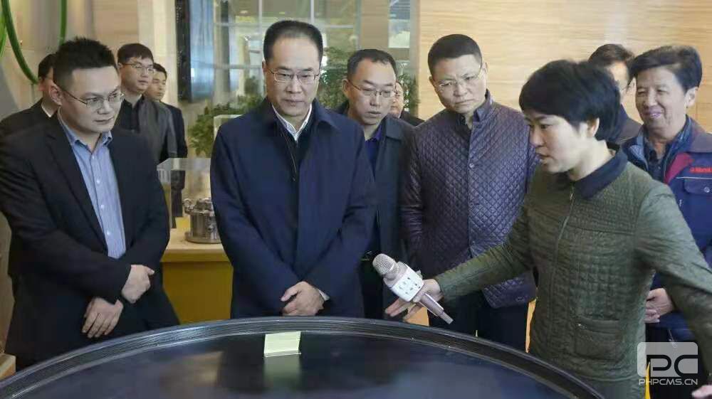 韓衛市長(cháng)一行蒞臨我司調研指導